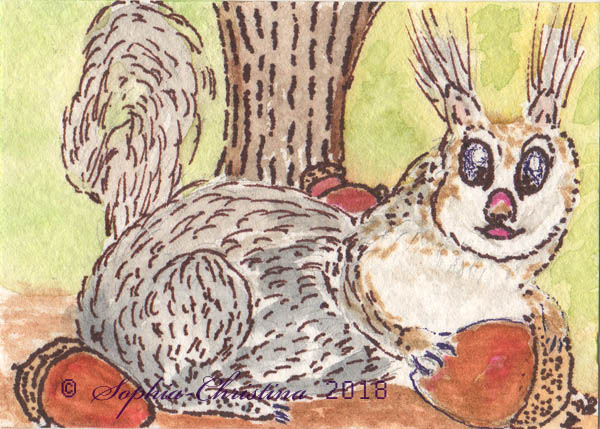 ACORN!! by Sophia-Christina